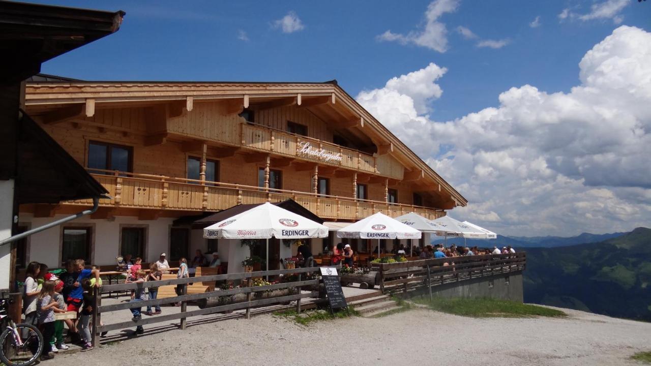 Berggasthof Schatzbergalm Thierbach Cameră foto