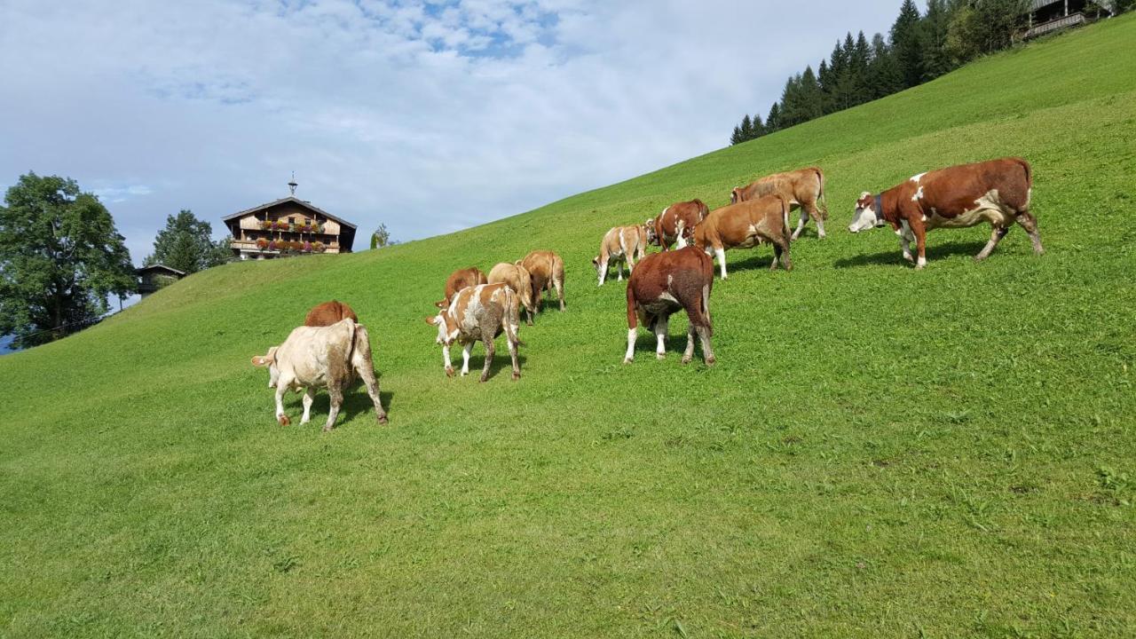Berggasthof Schatzbergalm Thierbach Exterior foto